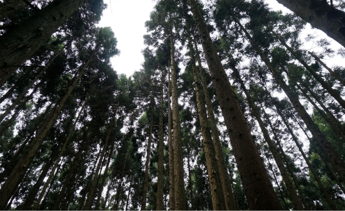 高品質・長寿命住宅